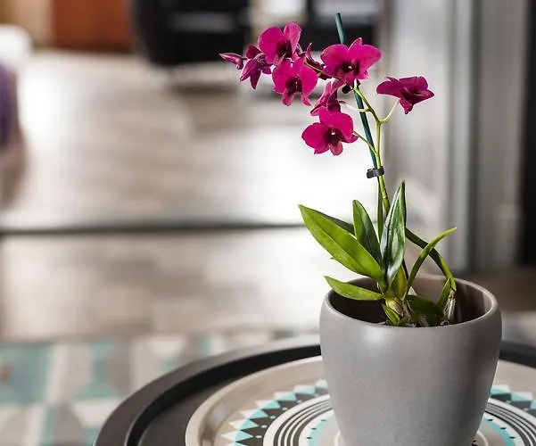 公寓式酒店 卡玛精品公寓酒店 布达佩斯