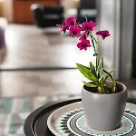 Apartahotel Karma Boutique Budapest
